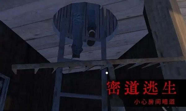 恐怖屋的爷爷奶奶游戏下载,恐怖游戏,冒险游戏,恐怖屋的爷爷奶奶